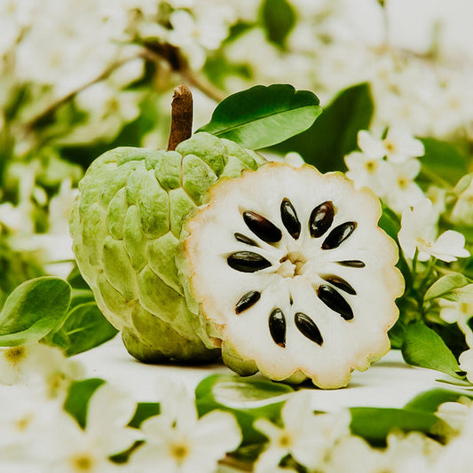 An image featuring a whole cherimoya fruit with a cut section revealing the black seeds inside, surrounded by white flowers and green leaves.