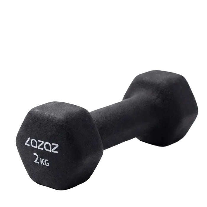 Dumbellix Neoprene Hex Dumbbell with Non-Slip Grip – 2kg