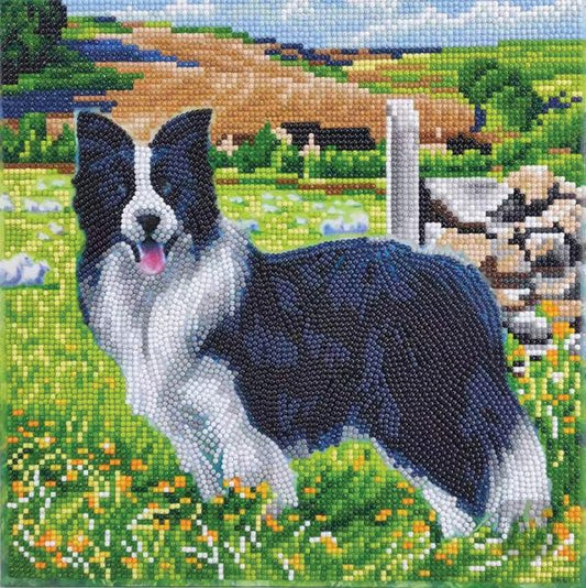 Crystal Art Kit 12"x12" Pup In The Field