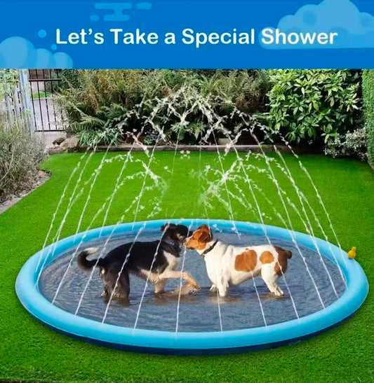 Dog Swimming Pool