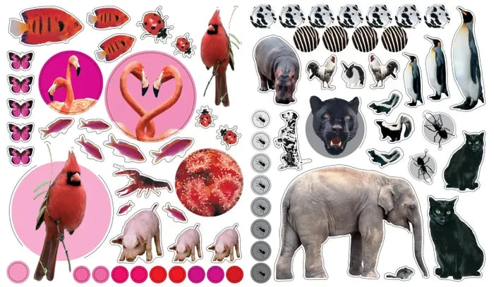 Eyelike Stickers - Animals
