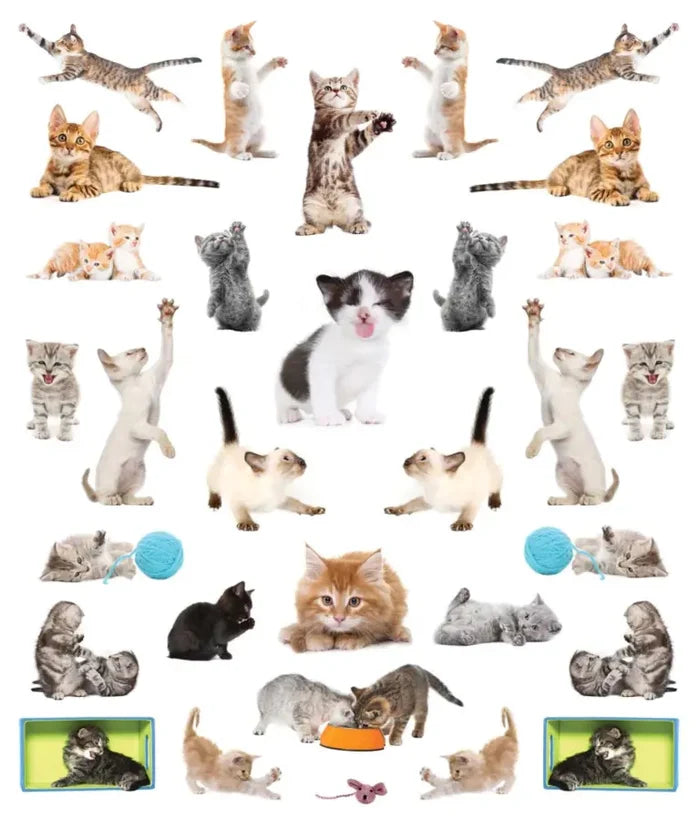 Eyelike Stickers - Kittens