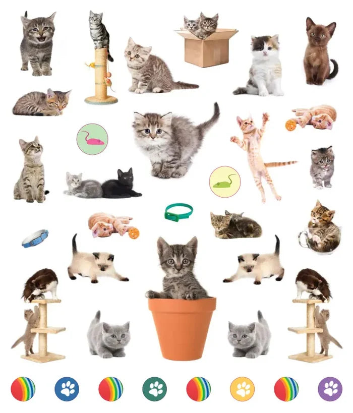 Eyelike Stickers - Kittens