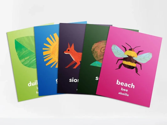 Flashcard Game - Luaschártaí - An Timpeallacht