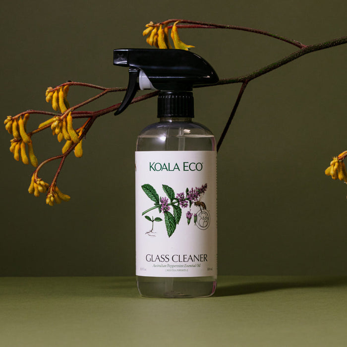 Glass Cleaner