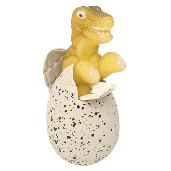 Jumbo Crackle Dinosaur Grow Egg