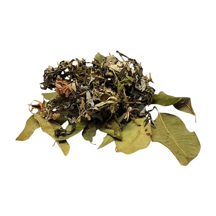 Mugwort and Lemon Myrtle Leaves