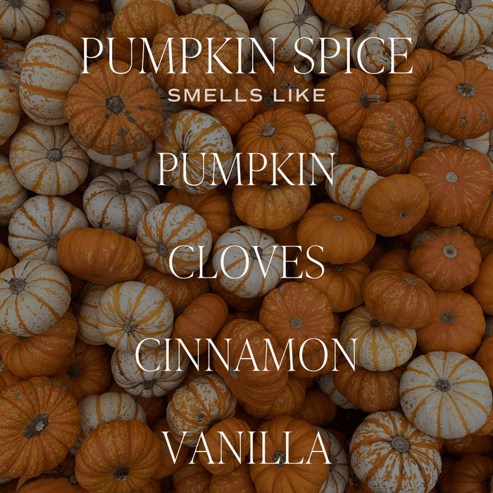 Pumpkin Spice Candle - Olita Gifts & Goods