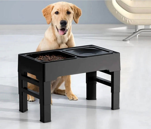 Raised Dual Dog Bowls