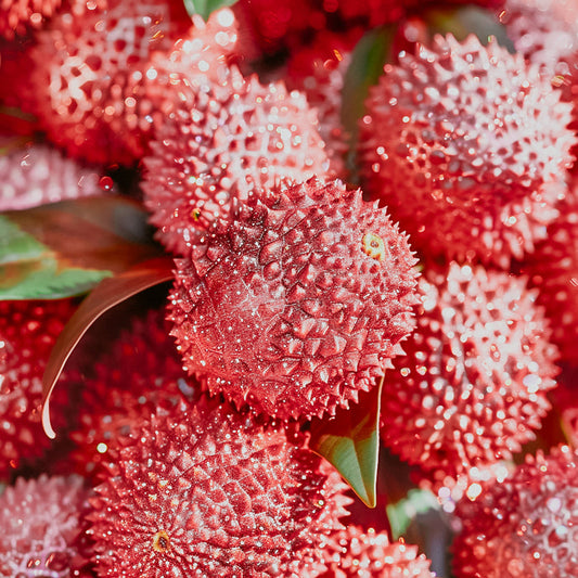 A close-up image of vibrant red lychees with a focus on their spiky outer skin.
