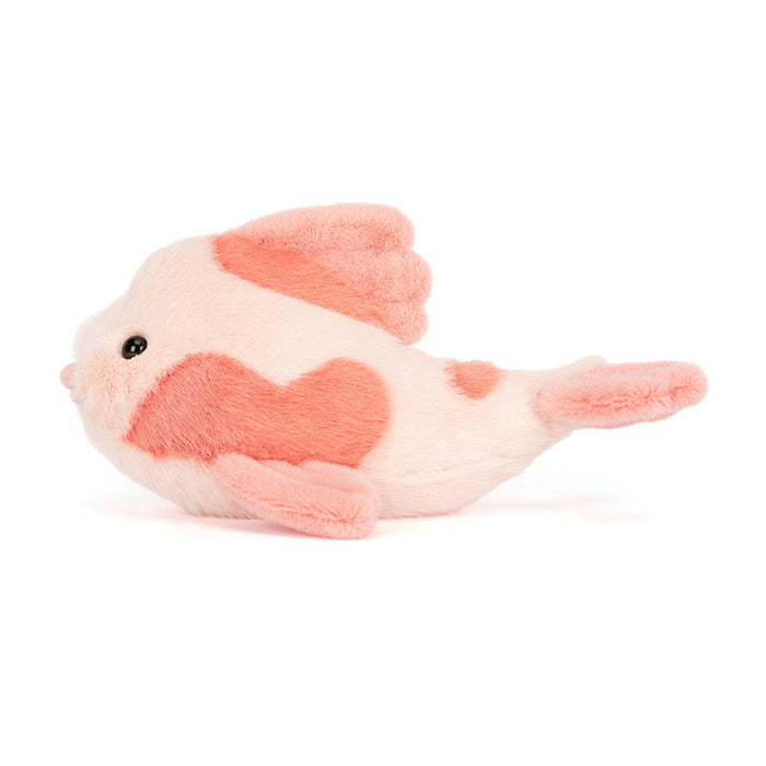 Teddy - Fancy Carp - Side Cut